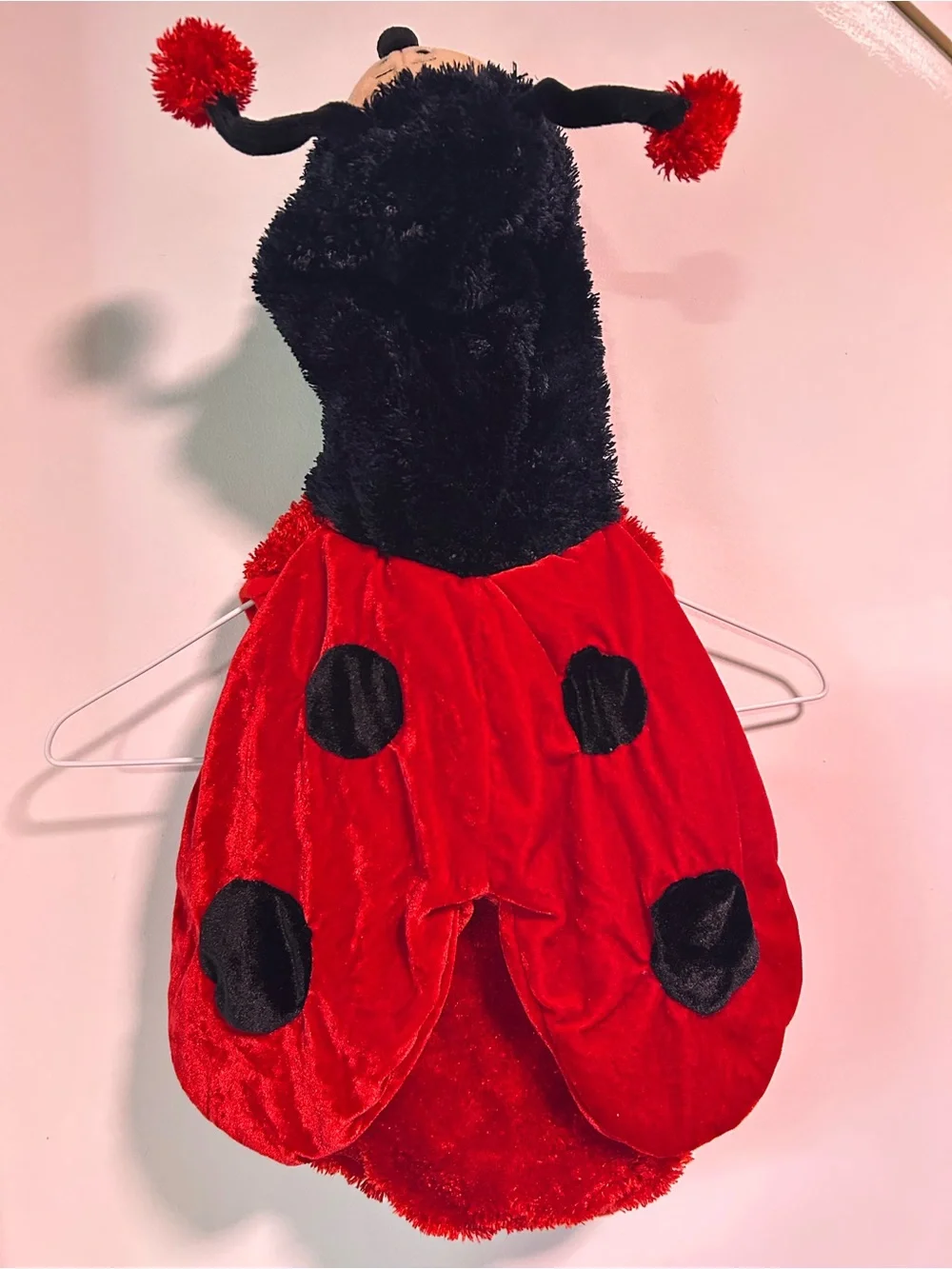 Y2K Chrisha Playful Plush Ladybug Costume